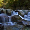 DSC_7271 (2)