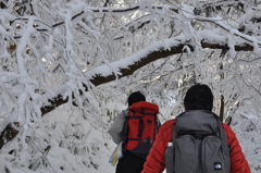 白いトンネル