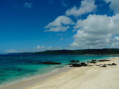 夏、真っ盛り