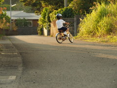自転車