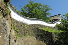 臼杵城「土塀」