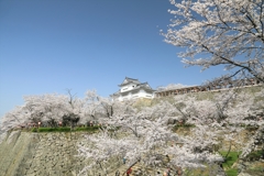 津山城-016