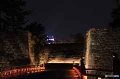 夜の城