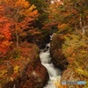 竜頭の橋より湯川の紅葉を臨む