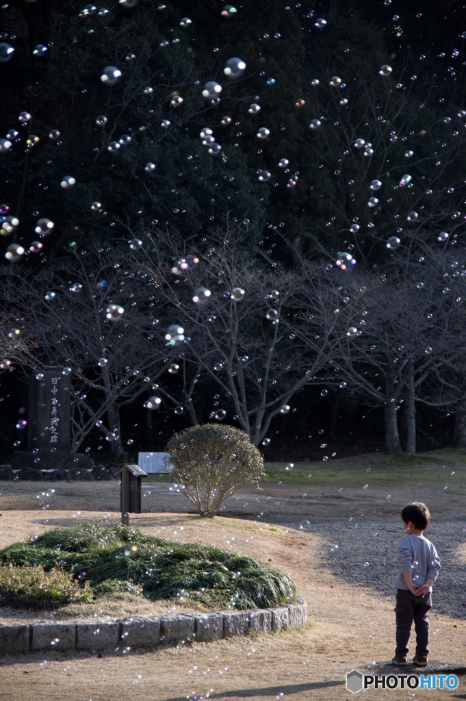 Soap bubble