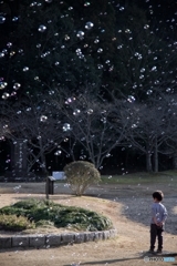 Soap bubble