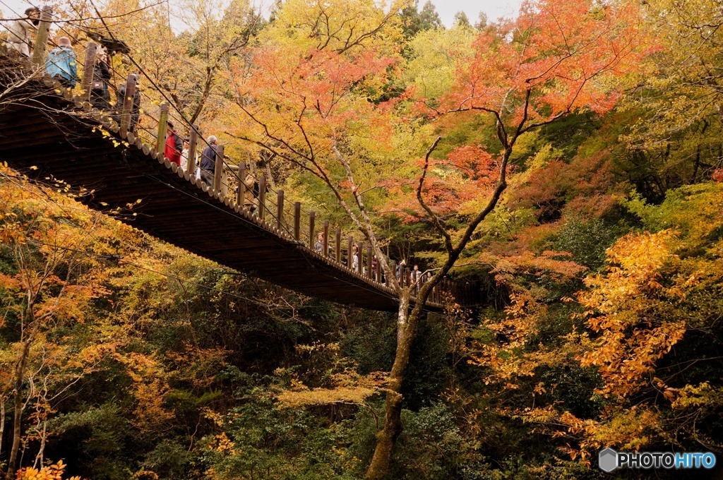 花貫渓谷 汐見滝吊り橋 By Kimy Id 写真共有サイト Photohito