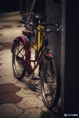 classic SCHWINN
