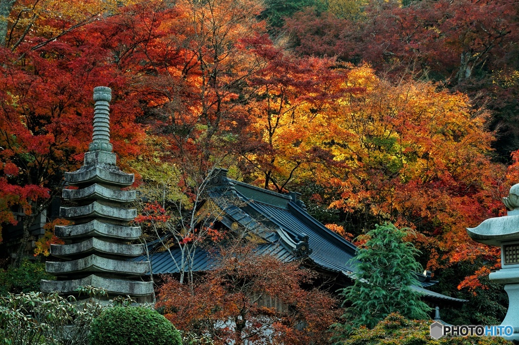 境内の紅葉