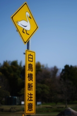 横断注意
