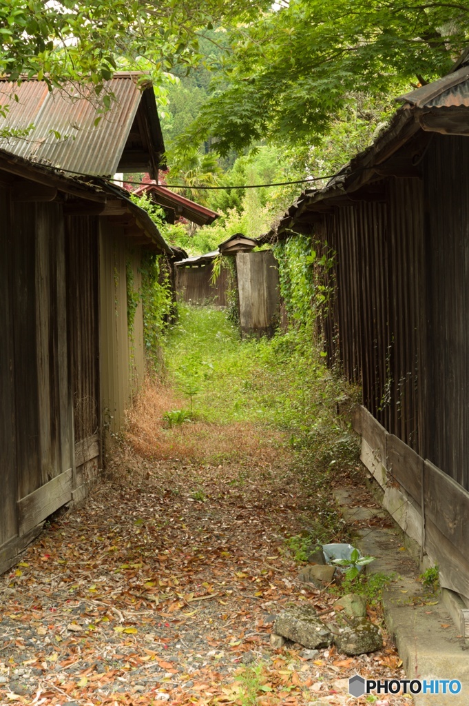 路地