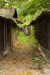 路地