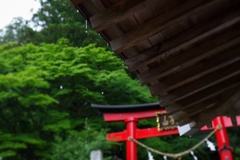 雨宿り