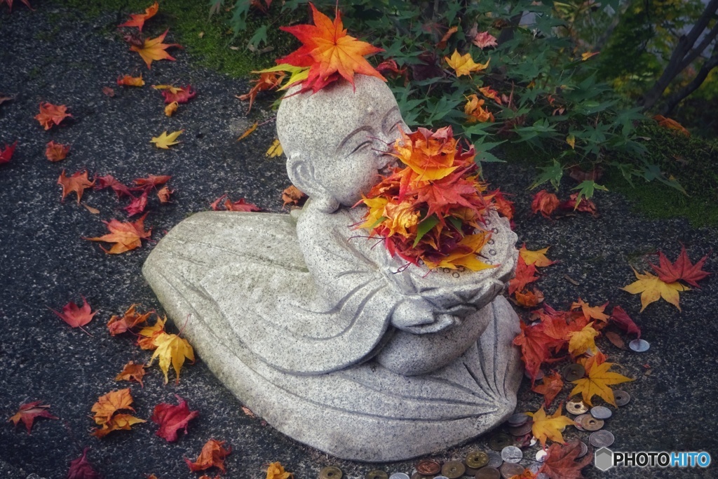 紅葉狩りに大忙し