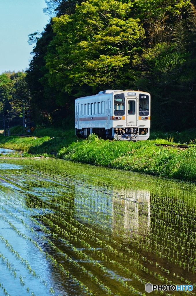 トコトコ湊線