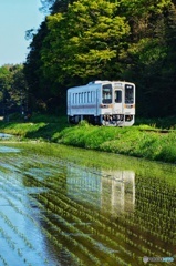 トコトコ湊線