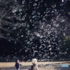 Soap bubble 2