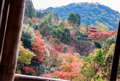 清水寺から