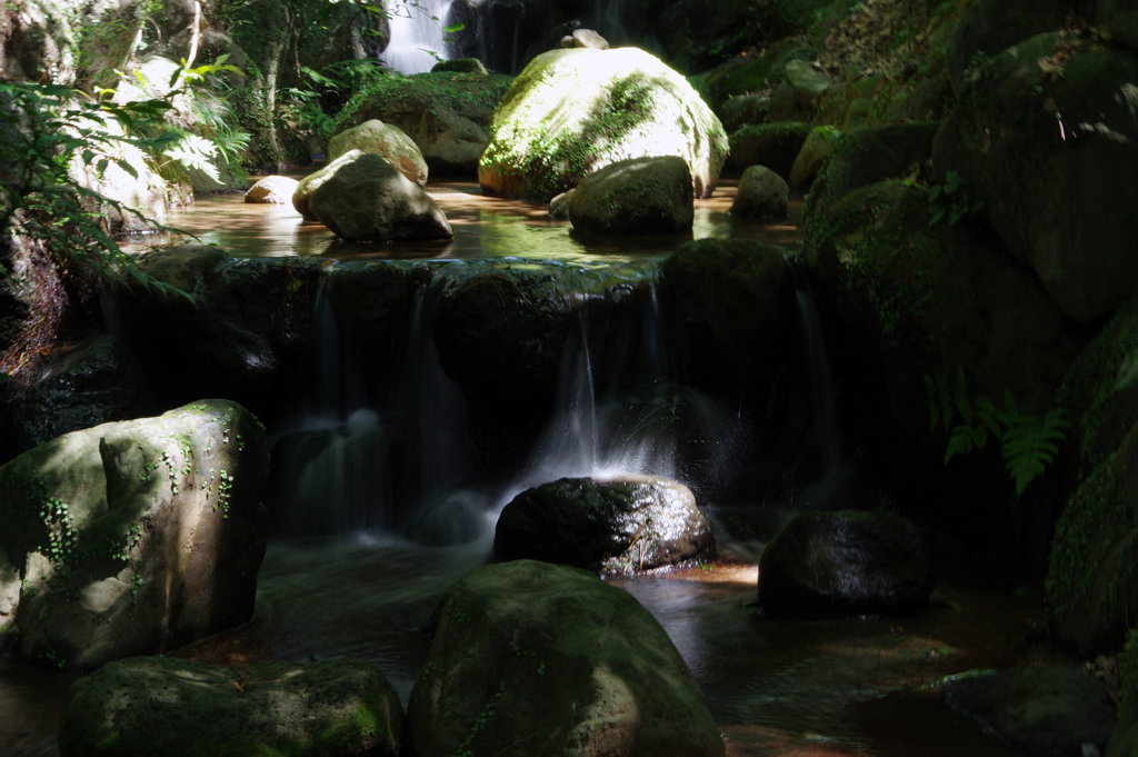 中央公園