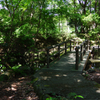 中央公園