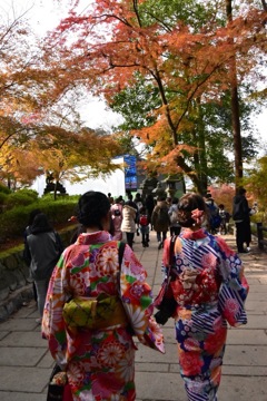 紅葉を撮るカメラ着物女子！