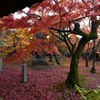 東福寺の紅葉