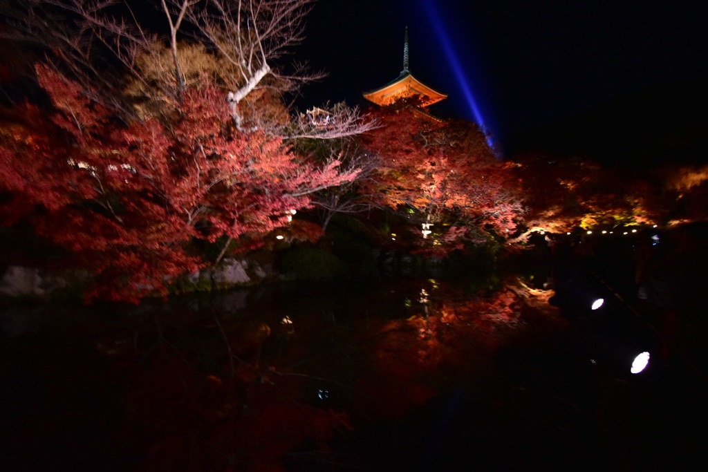 清水寺ライトアップ