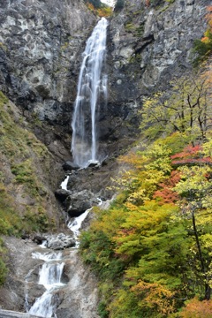 白山ホワイトロードの紅葉