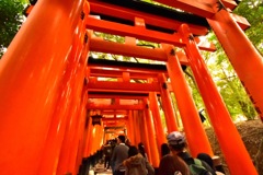 京都 伏見稲荷 千本鳥居⛩