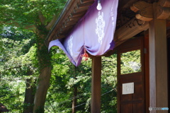 神様のお出かけ？
