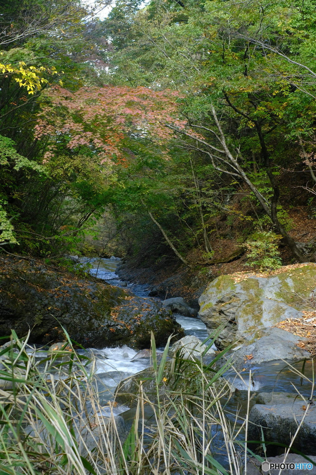 秘密の滝