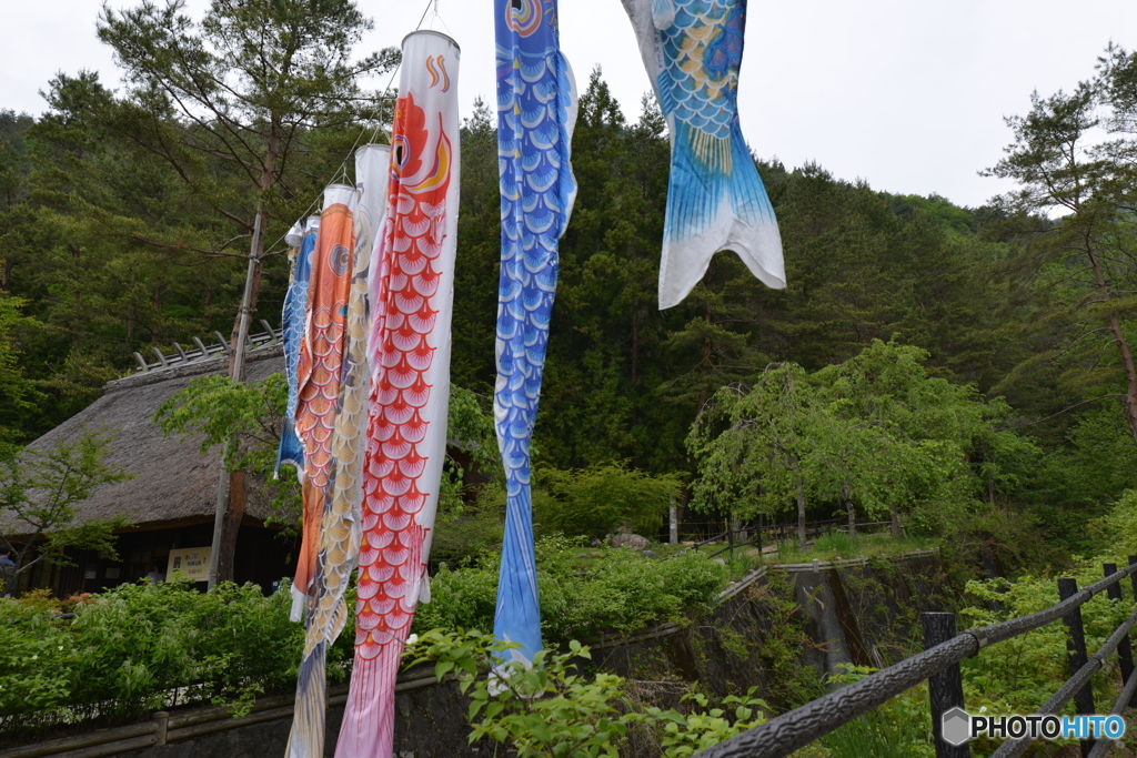 癒しの里
