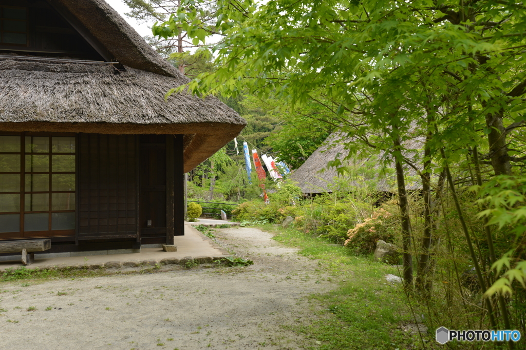癒しの里