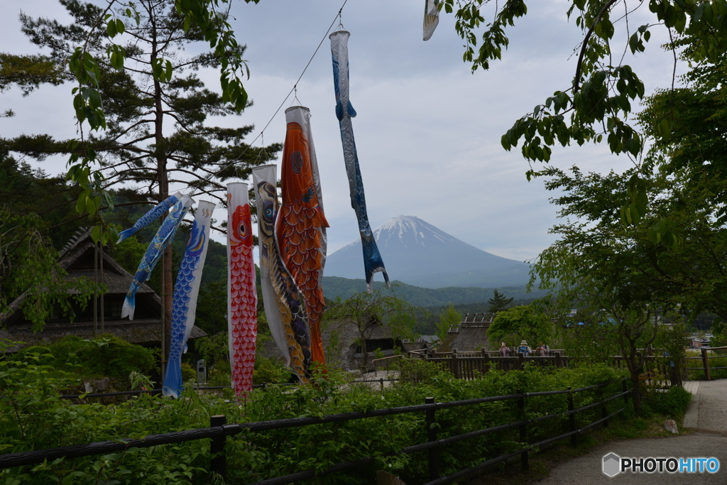 癒しの里