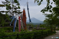 癒しの里
