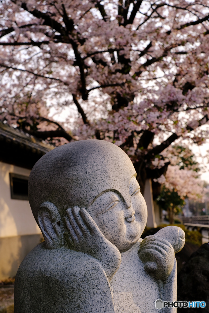 春思う