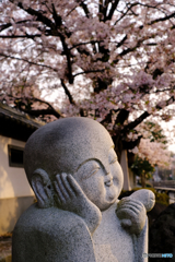 春思う