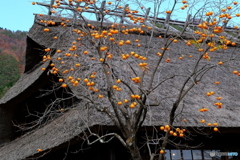 萱葺きを飾る