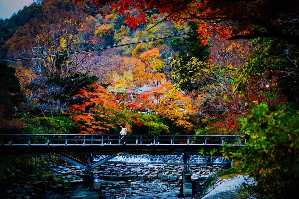 福袋特集 2024 2018年 12月 京都 八瀬比叡山口 紅葉 20/20 by mankey0810 （ID その他