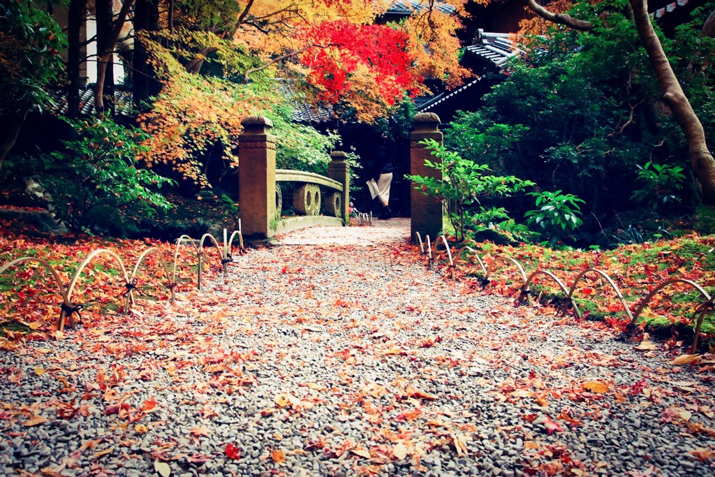 2018年 12月 京都 八瀬比叡山口 紅葉 11/20