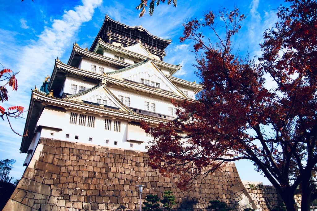2018年 11月 大阪城 紅葉 6/10