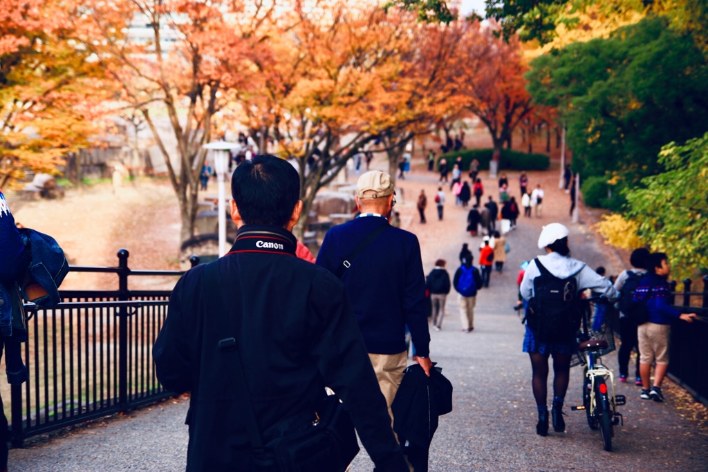 2018年 11月 大阪城 紅葉 4/10