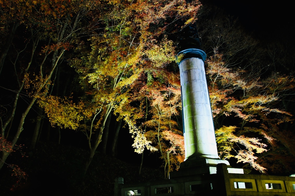 2018年 12月 京都 八瀬比叡山口 紅葉 6/20