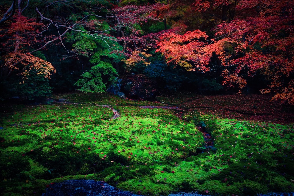 2018年 12月 京都 八瀬比叡山口 紅葉 17/20