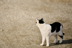 その先に