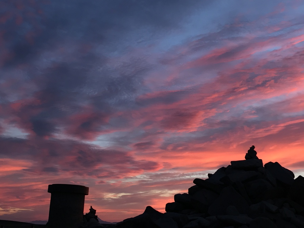 95E4F30C-C3AA-4466-A881-72C066F869BE