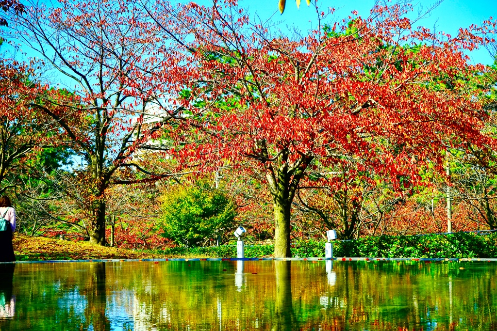 9718B1F3-BAE9-47CA-AF8D-09A0D6168FBB