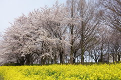 40354035-6DC5-4414-AFE4-6E98E6C731F1