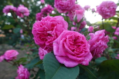 558EB98B-3414-4428-8923-1E1A36DE91D7