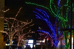 イルミネーション2